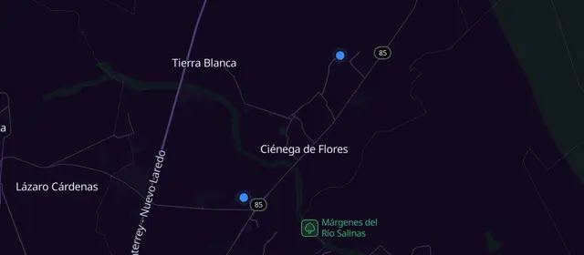 Alcoholics Anonymous meetings in Ciénega de Flores