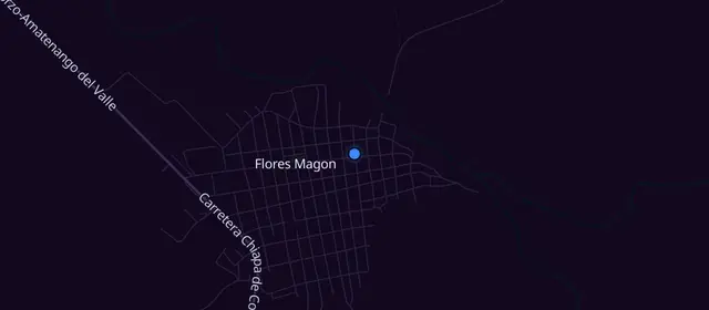 Alcoholics Anonymous meetings in Flores Magon (Venustiano Carranza)