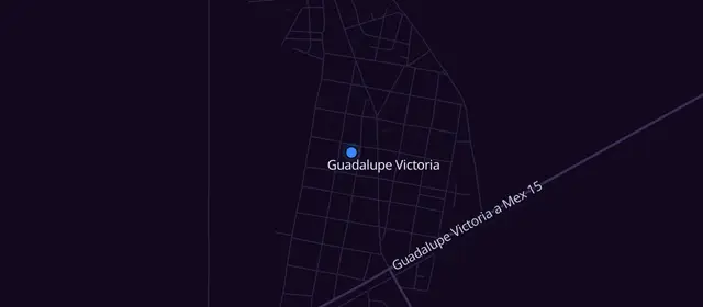 Alcoholics Anonymous meetings in Guadalupe Victoria