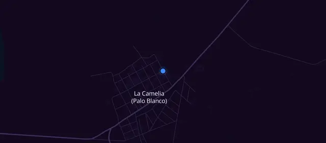 La Camelia में अल्कोहॉलिक्स एनॉनिमस की मीटिंग्स