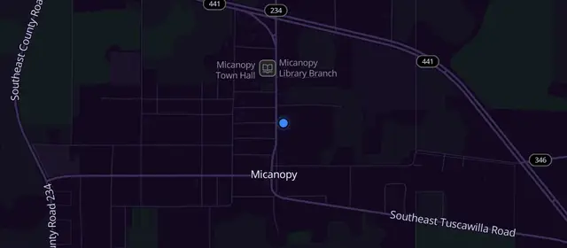 Alcoholics Anonymous meetings in Micanopy