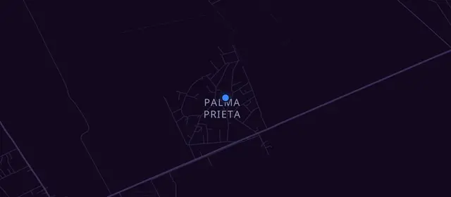 Alcoholics Anonymous meetings in Palma Prieta