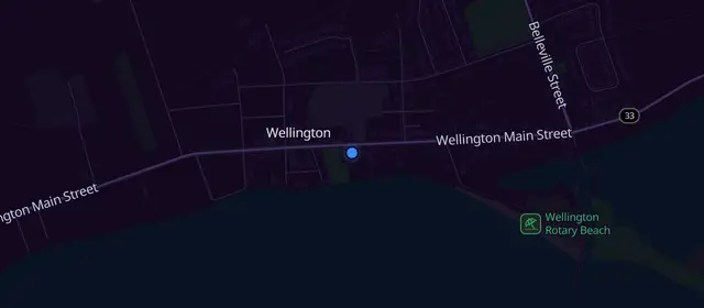 Alcoholics Anonymous meetings in Wellington