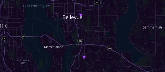 Narcotics Anonymous meetings in Bellevue