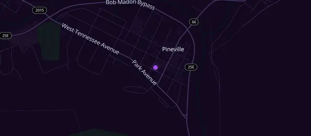 Narcotics Anonymous meetings in Pineville